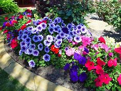 Pretty Bunch